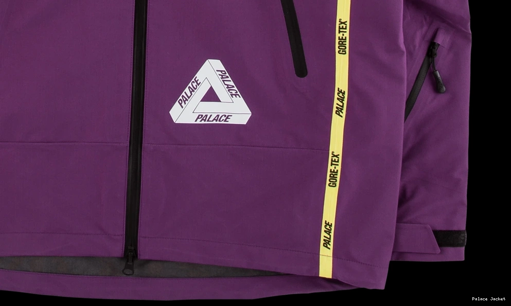 Affordable Palace Gore-Tex Palex Jacket 0824